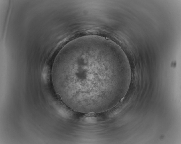 X0000094450228200711151434