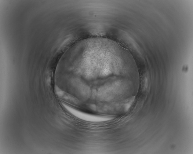 X0000094450229200711151434