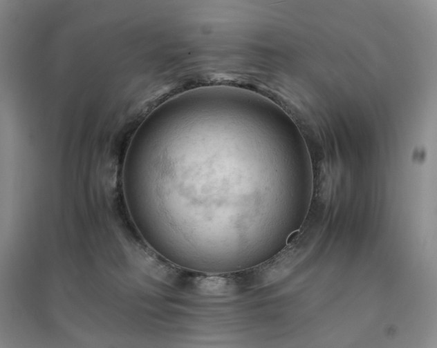 X0000094450230200711151434