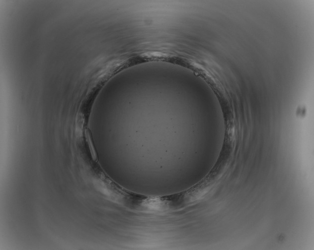 X0000094450231200711151434