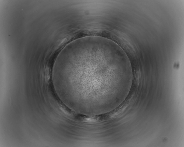 X0000094450232200711151434