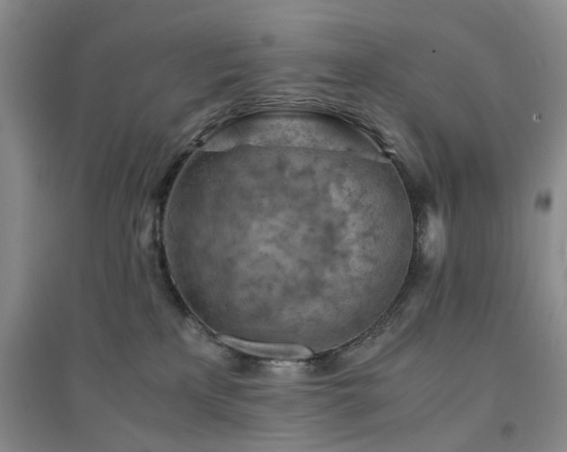 X0000094450233200711151434