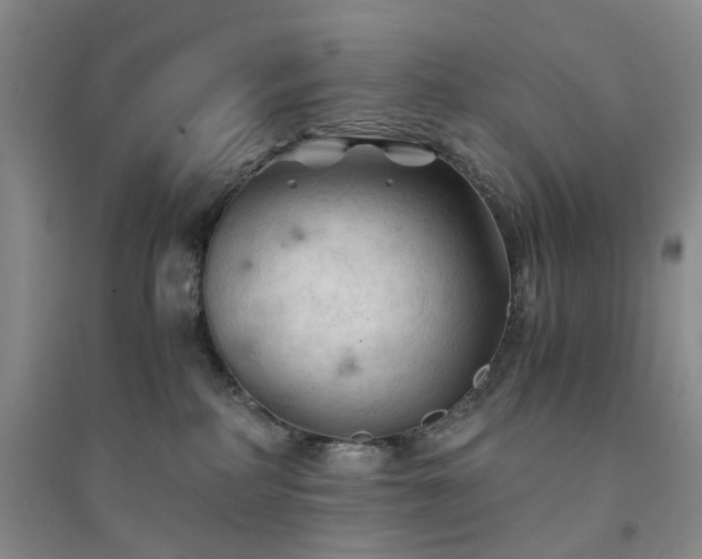 X0000094450234200711151434