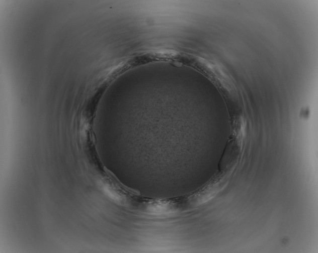 X0000094450235200711151434