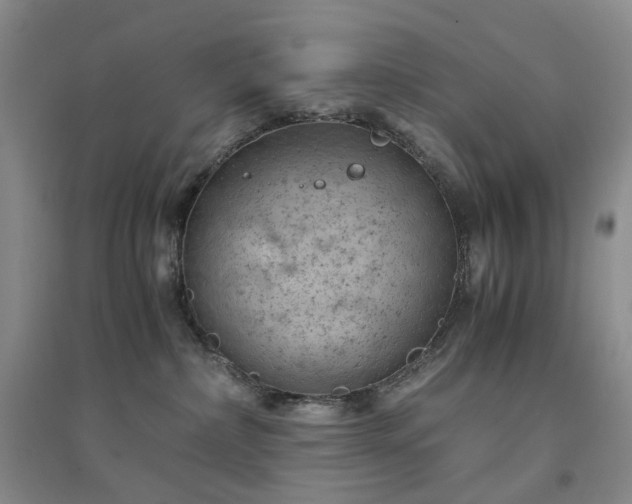 X0000094450236200711151434