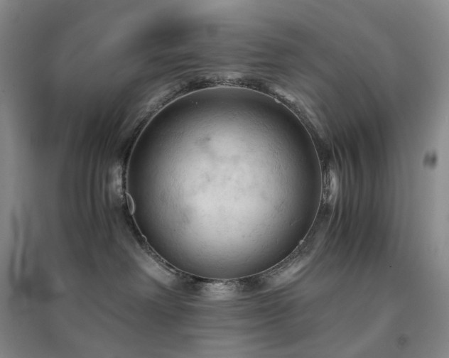 X0000094450238200711151434