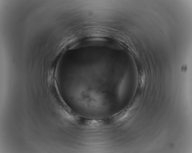 X0000094450239200711151434