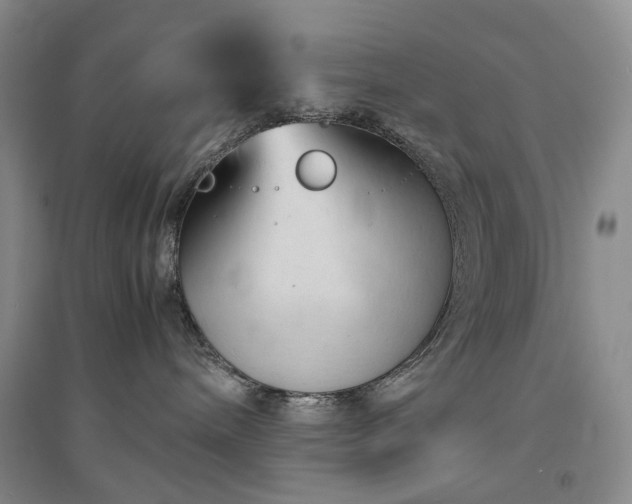 X0000094450240200711151434