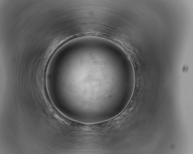 X0000094450241200711151433