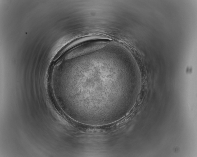 X0000094450242200711151433