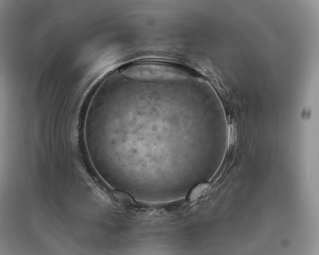 X0000094450243200711151433