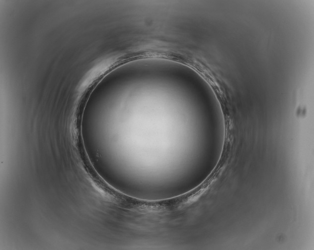 X0000094450245200711151434