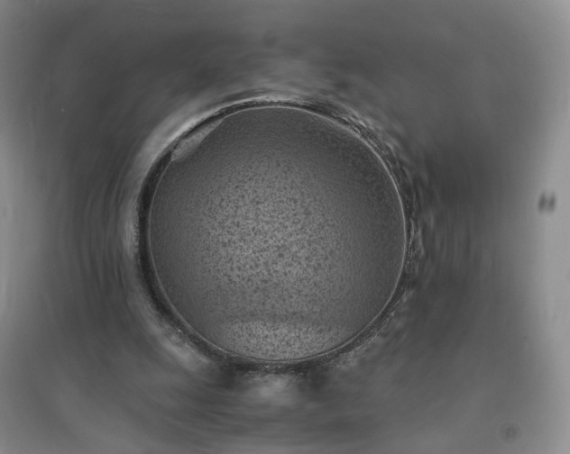 X0000094450247200711151434