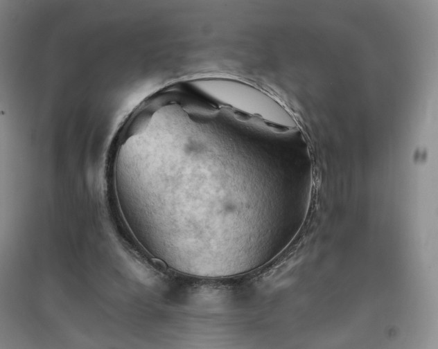 X0000094450248200711151434