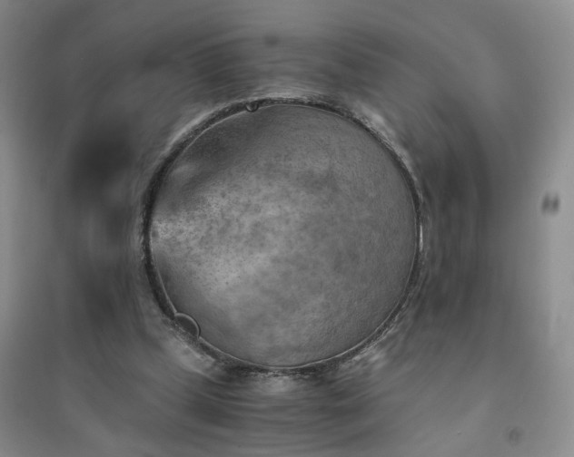 X0000094450249200711151434