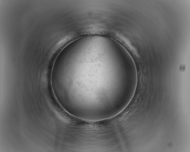 X0000094450250200711151434