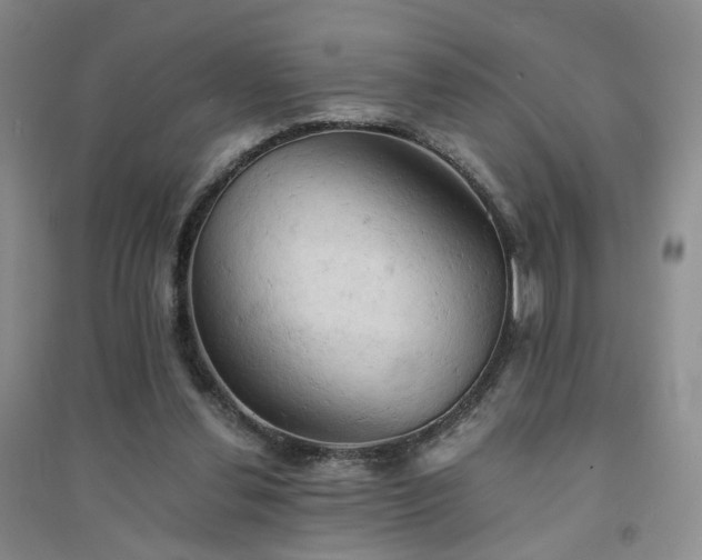 X0000094450252200711151434