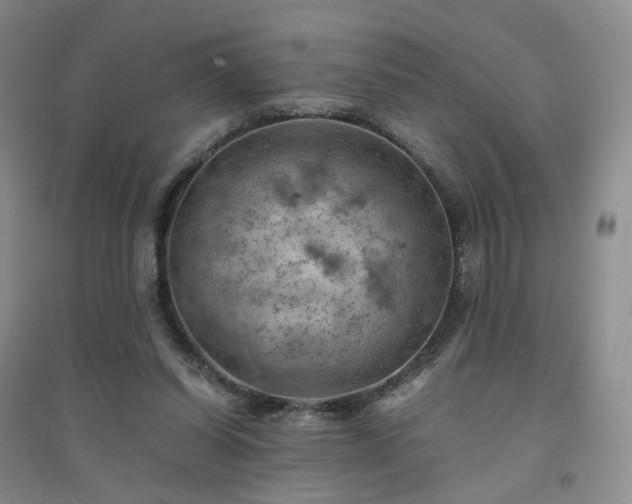X0000094450254200711151434