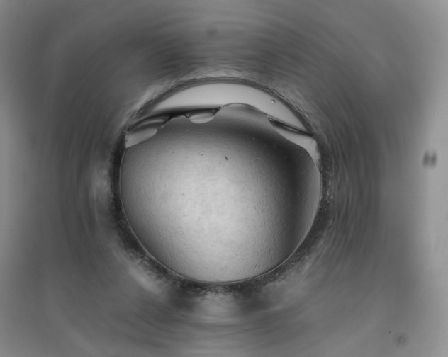X0000094450256200711151434