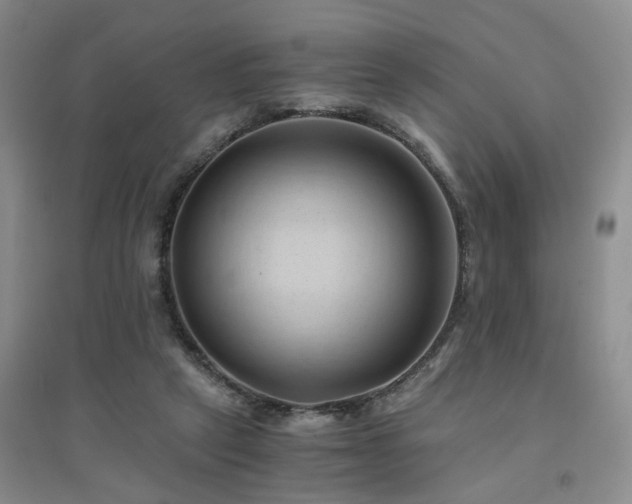 X0000094450257200711151434