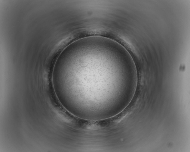 X0000094450258200711151434