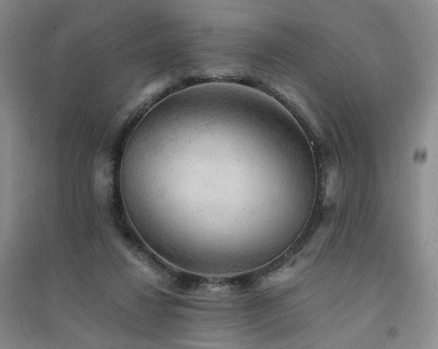 X0000094450260200711151434