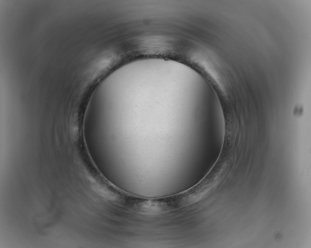 X0000094450261200711151434