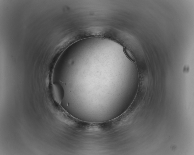 X0000094450262200711151434