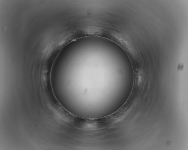 X0000094450263200711151434