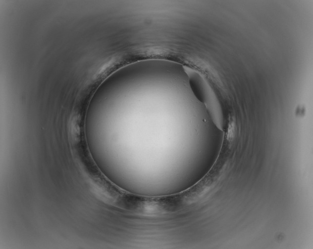 X0000094450264200711151434