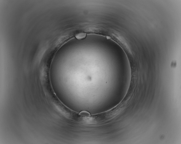 X0000094450265200711151434