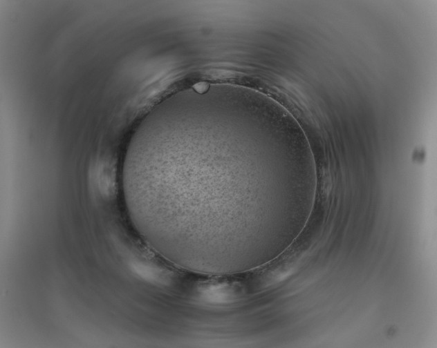 X0000094450267200711151434