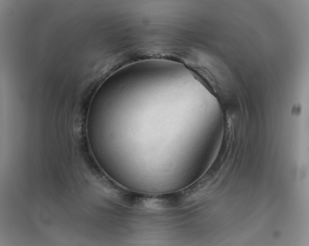 X0000094450268200711151434