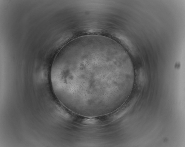 X0000094450269200711151434