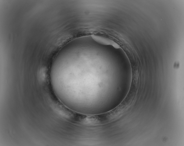 X0000094450270200711151434