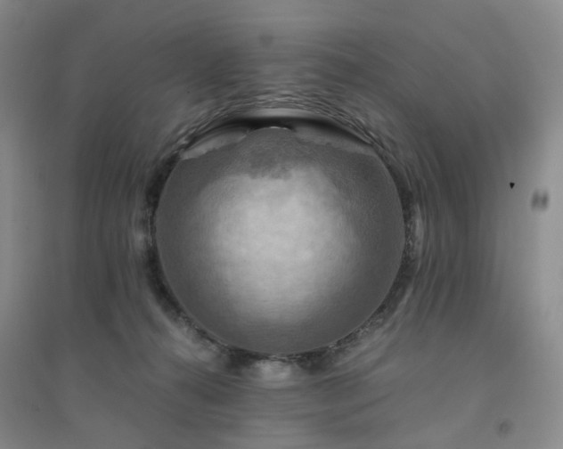 X0000094450272200711151434