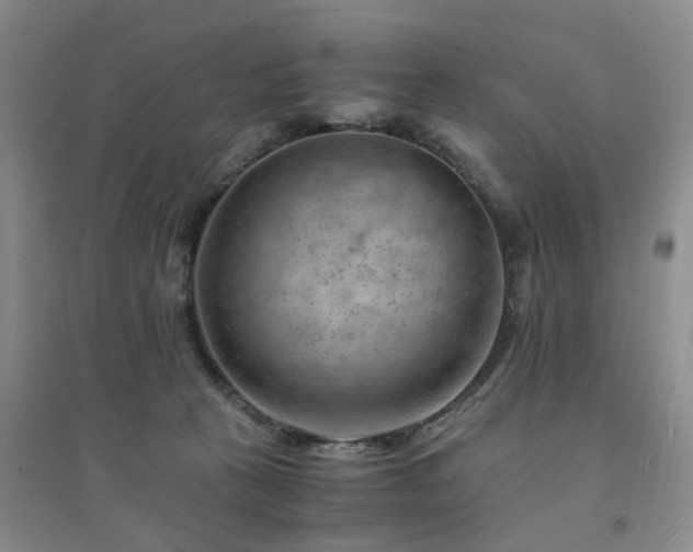 X0000094450273200711151434