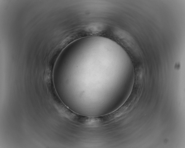 X0000094450274200711151434