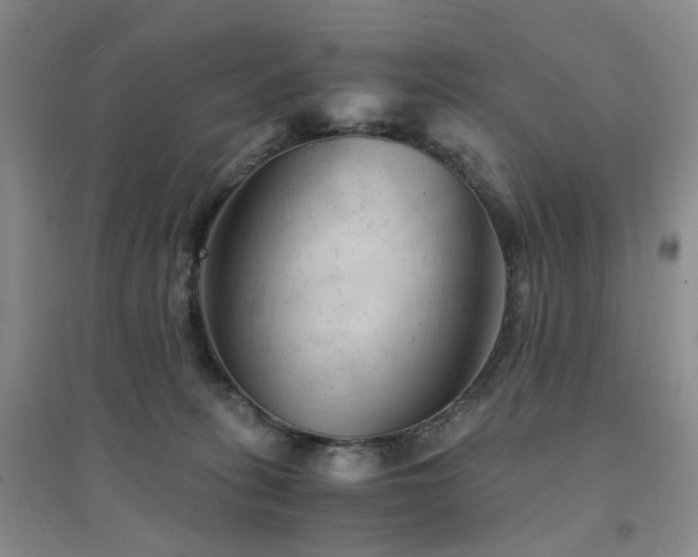 X0000094450275200711151434