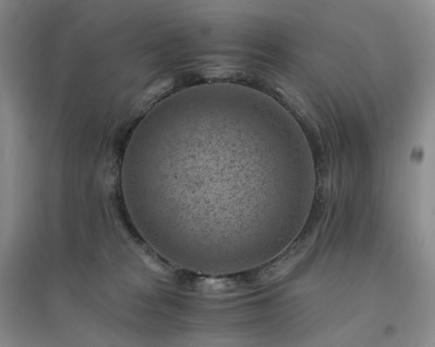 X0000094450277200711151434