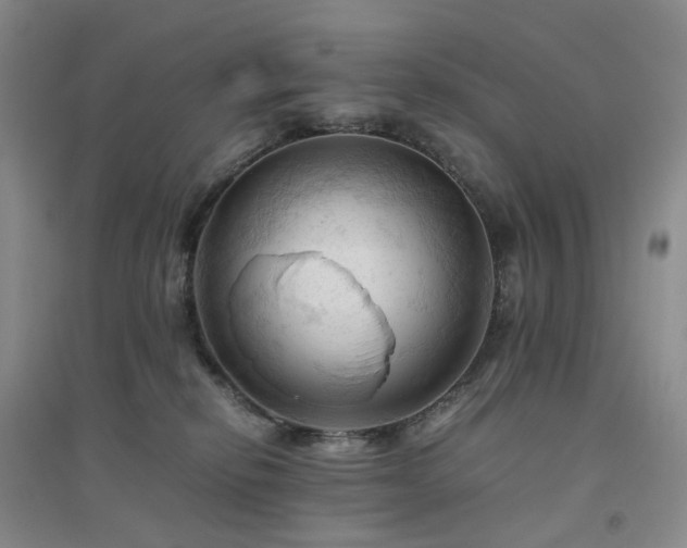 X0000094450278200711151434