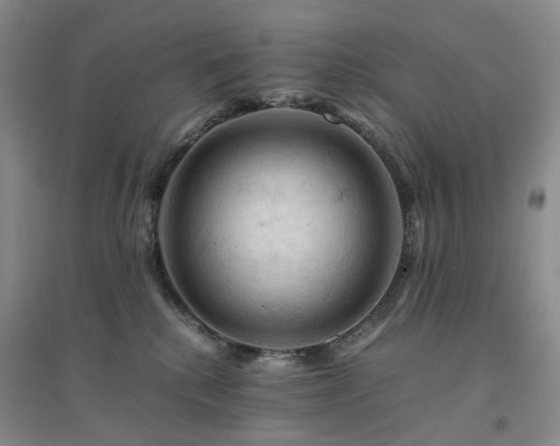 X0000094450280200711151434