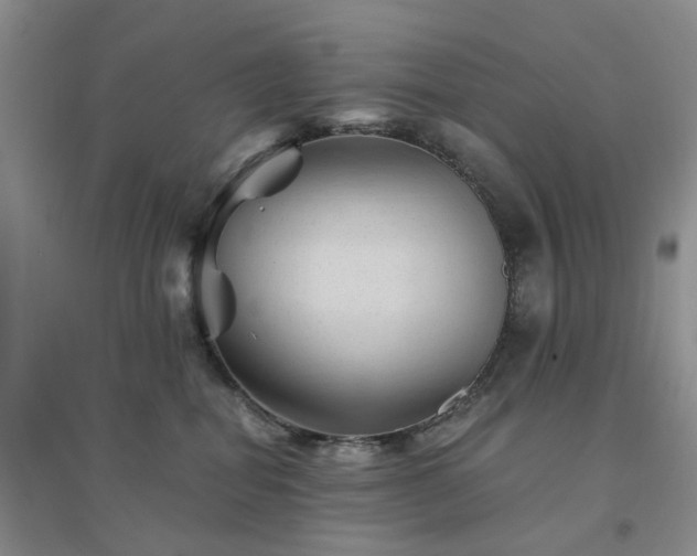 X0000094450282200711151434