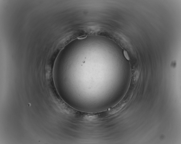 X0000094450283200711151434