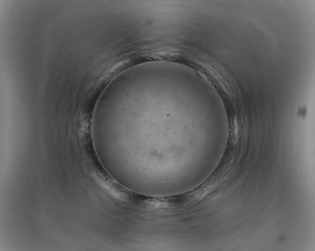X0000094450284200711151434