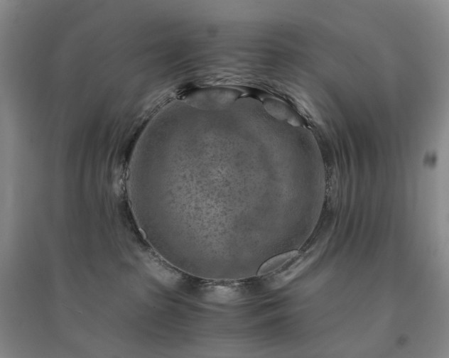 X0000094450285200711151434