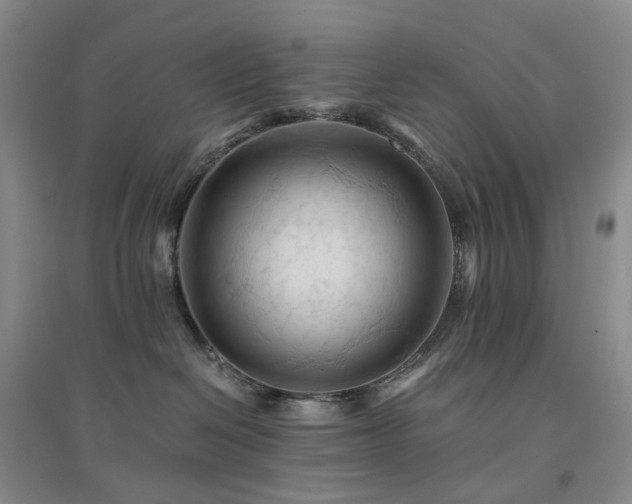 X0000094450286200711151434