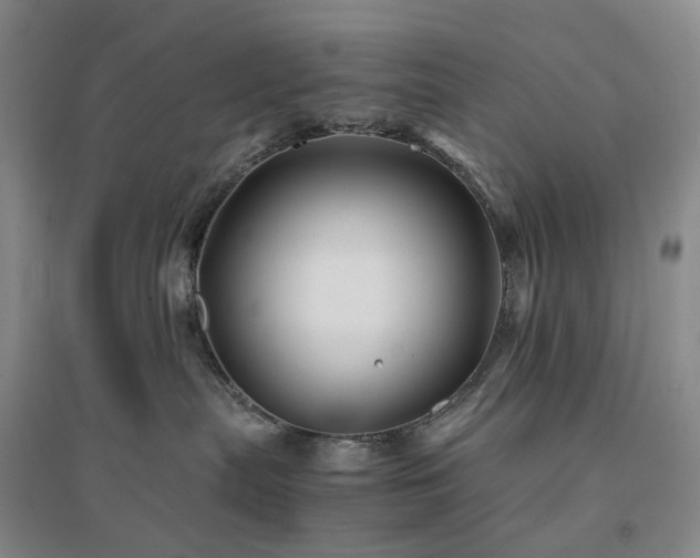 X0000094450287200711151434