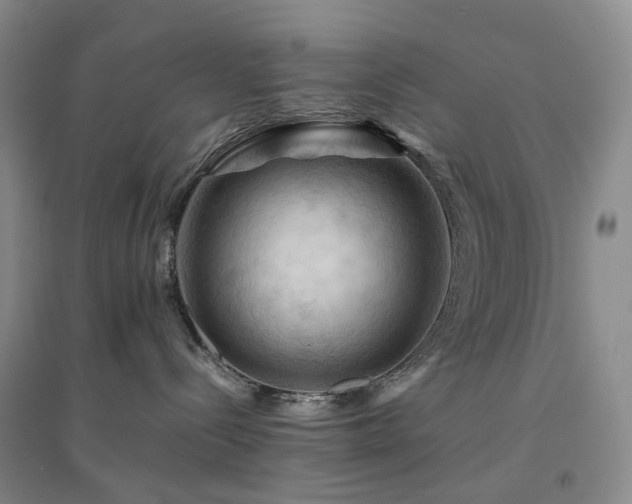 X0000094450288200711151434