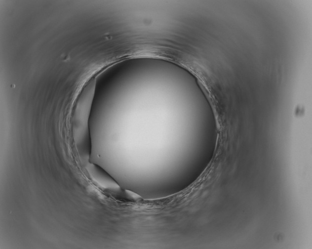 X0000094450289200711151433